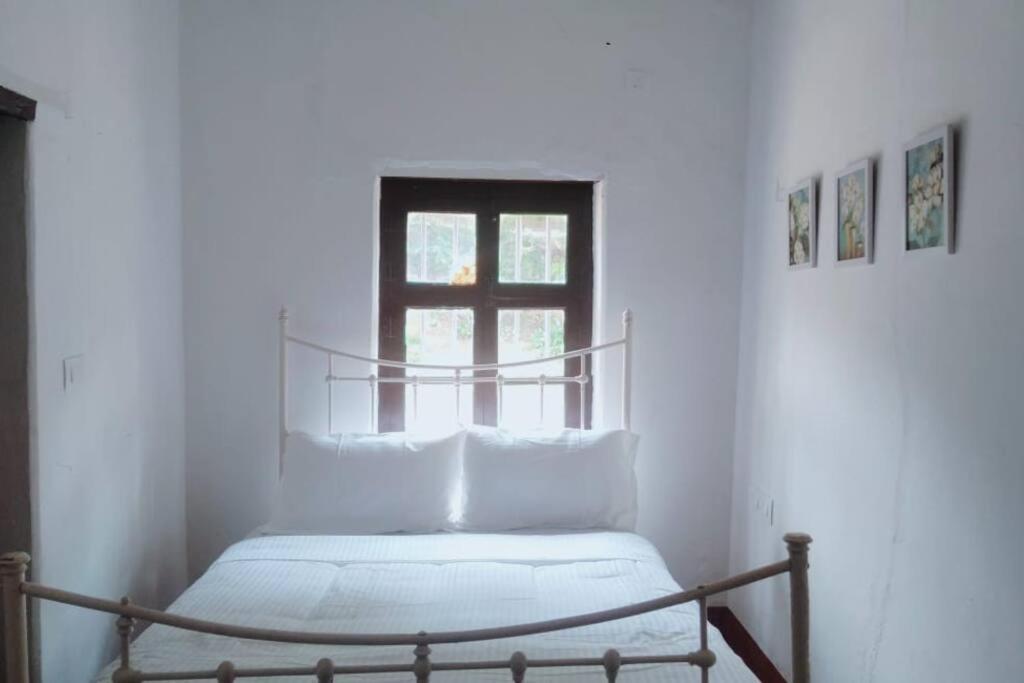 A Quaint Cottage With Rajah'S Seat View. Madikeri Exterior foto