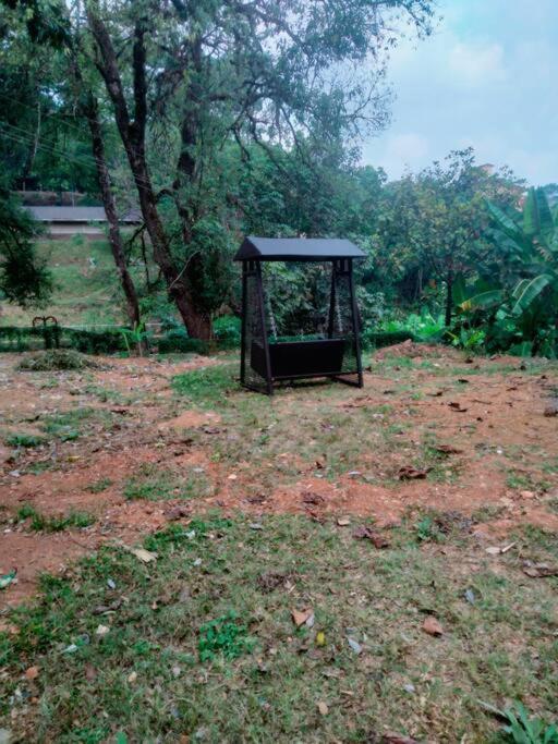 A Quaint Cottage With Rajah'S Seat View. Madikeri Exterior foto